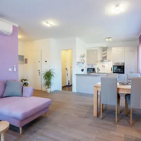 In With Free Wifi * 자다르