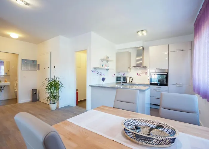 In With Free Wifi Zára